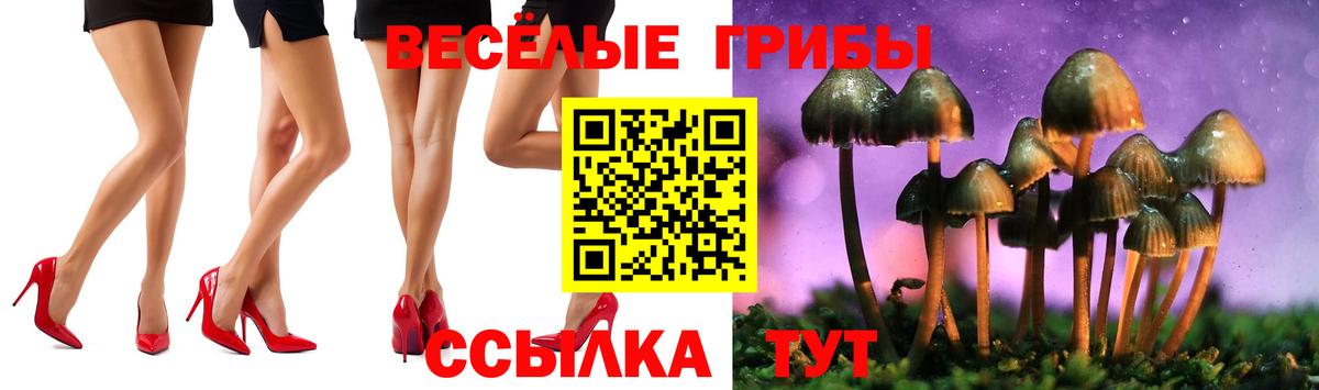 Петровск  закладка  Вход с VPN  Галлюциногенные грибы Psilocybe 